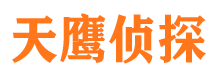 湛江外遇出轨调查取证